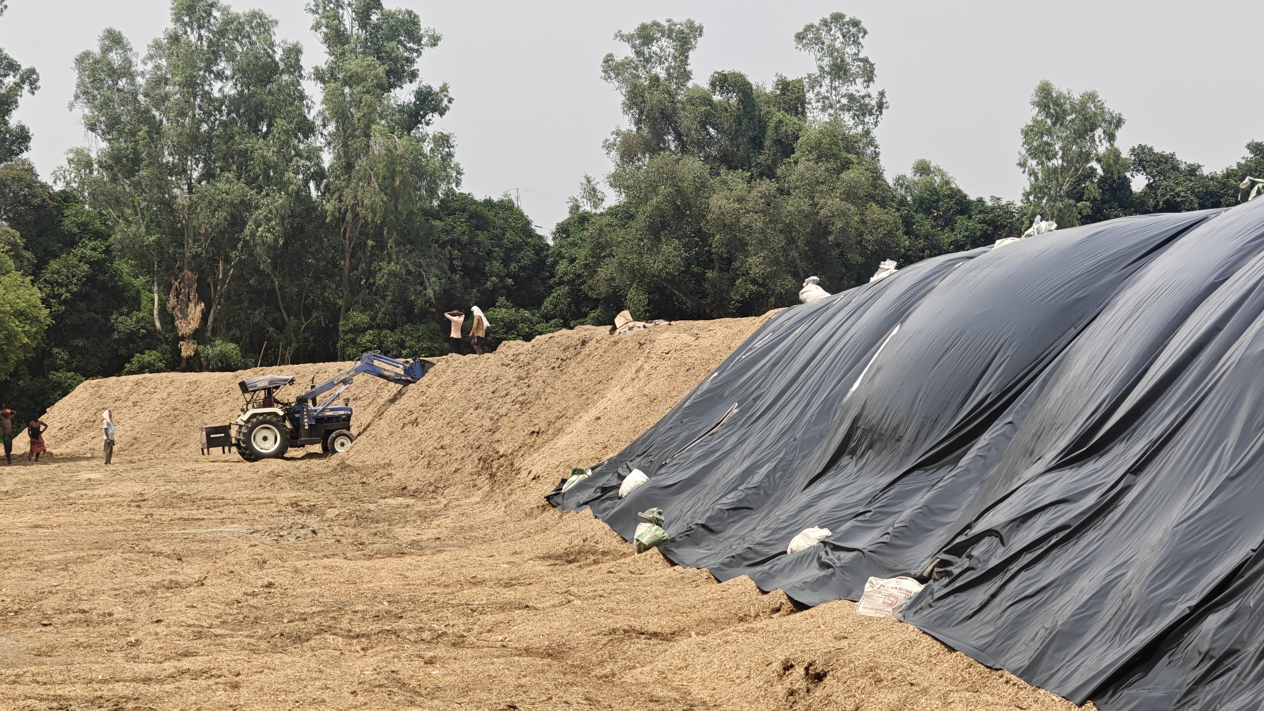 Biomass raw material storage yard